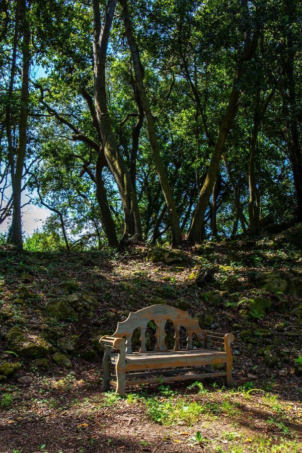 Vibe Luxury Cabins Arnuero Luaran gambar