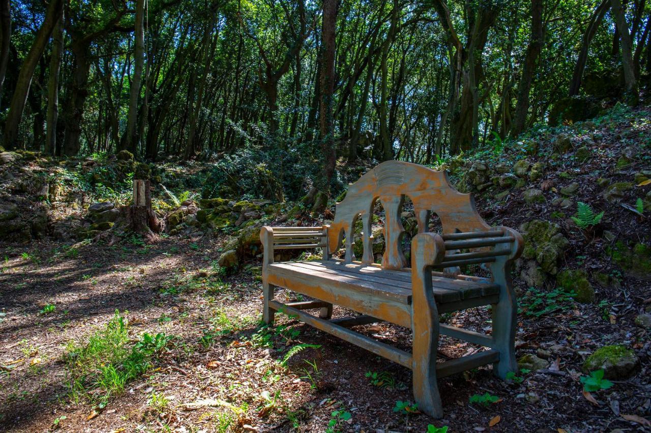 Vibe Luxury Cabins Arnuero Luaran gambar