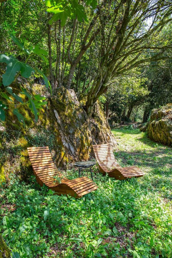 Vibe Luxury Cabins Arnuero Luaran gambar